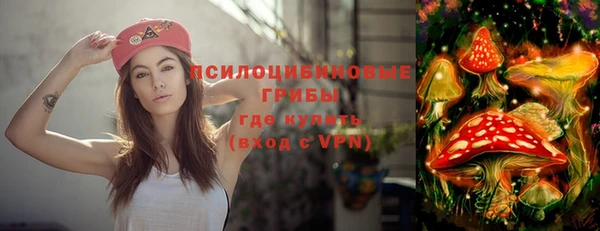 ПСИЛОЦИБИНОВЫЕ ГРИБЫ Кодинск