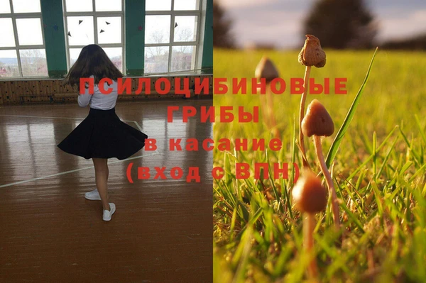 ПСИЛОЦИБИНОВЫЕ ГРИБЫ Кодинск