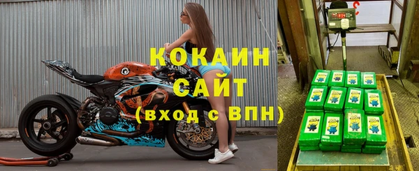 ПСИЛОЦИБИНОВЫЕ ГРИБЫ Кодинск