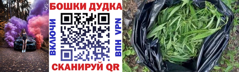 Шишки марихуана планчик  Купить закладки  Жуковский 